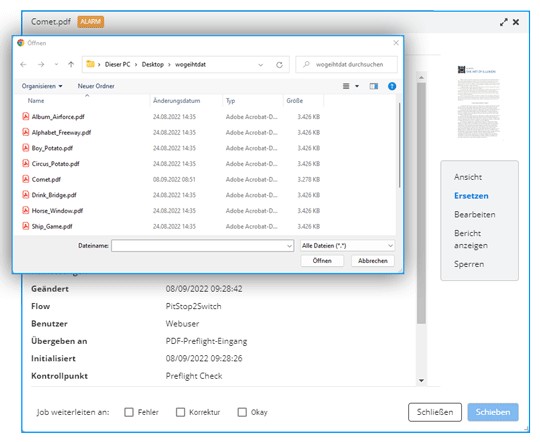 Ein Ersetzen von Dateien ist vorgesehen